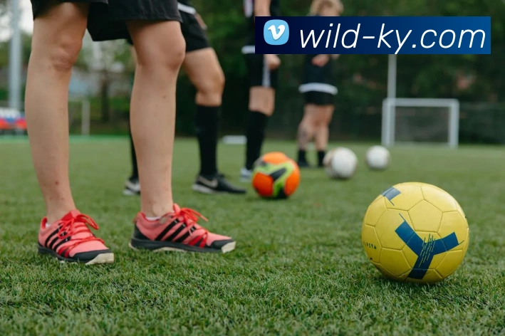 开云平台生态图